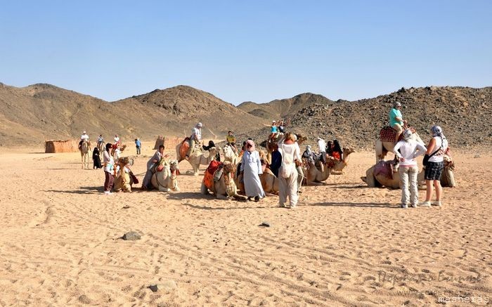 Деревня бедуинов » Портал о Египте. Новости, статьи, советы и красивые фотографии Египта